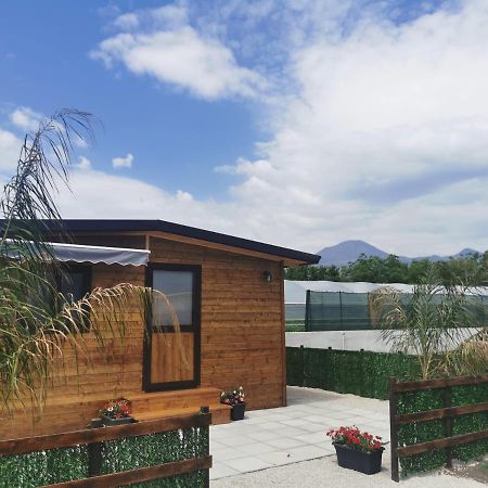 Vesuvius Chalet Relax Apartment Boscoreale Bagian luar foto