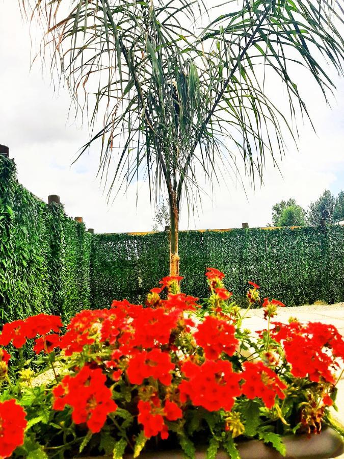 Vesuvius Chalet Relax Apartment Boscoreale Bagian luar foto