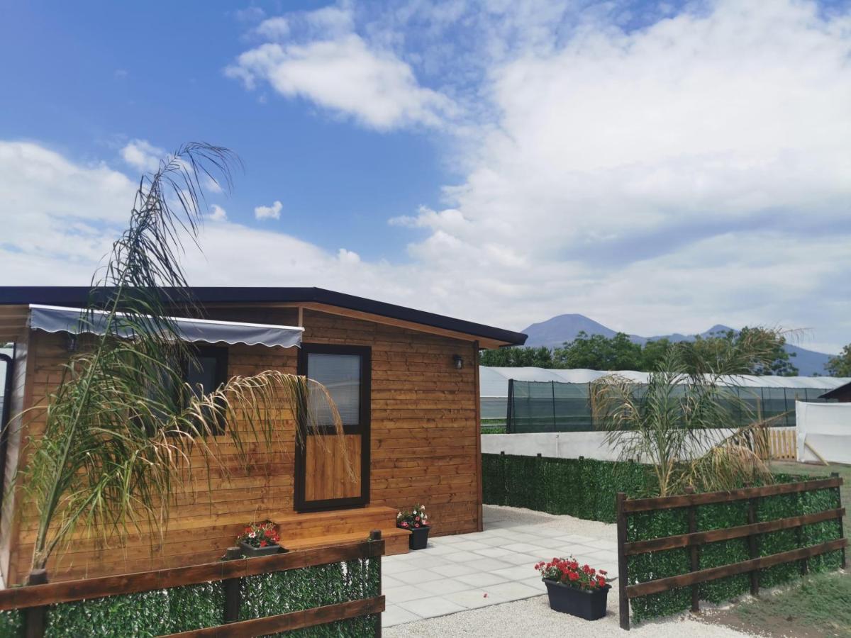 Vesuvius Chalet Relax Apartment Boscoreale Bagian luar foto